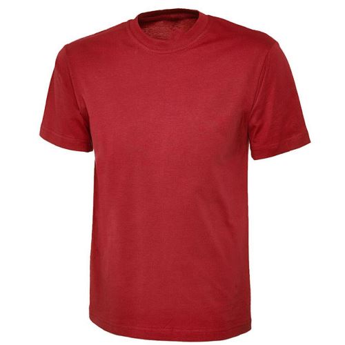 Adults Premium Cotton T-Shirt by Ek Wholesale